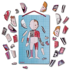 Janod Jeux Éducatifs Primaire|Jeux Éducatifs Science & Géographie*Body Magnet L'Anatomie - 12 langues