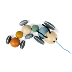 Janod Jouets À Promener & À Pousser*Chenille à Promener Sweet Cocoon (bois)