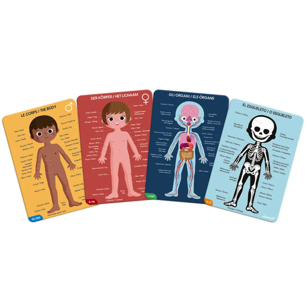 Janod Jeux Éducatifs Primaire|Jeux Éducatifs Science & Géographie*Puzzle éducatif géant Le Corps Humain