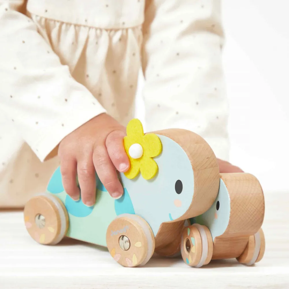 Janod Jouets À Promener & À Pousser*Set de 2 Tortues à Pousser Pure